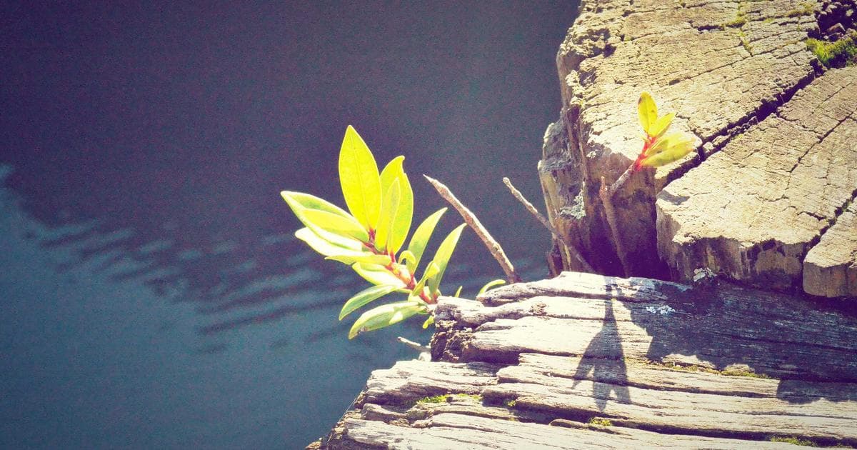 AI Content Detector: How Publishers Catch AI-Generated Articles